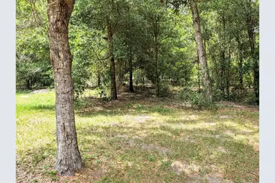 13921 SW 108th Lane, Dunnellon, FL 34432 - Photo 21