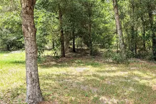 13921 SW 108th Ln, Dunnellon, FL 34432 - Photo 21