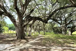 13921 SW 108th Ln, Dunnellon, FL 34432 - Photo 27