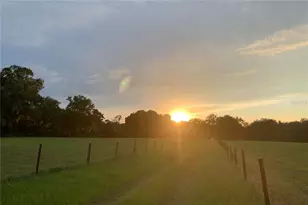 1360 S State Rd 19, Palatka, FL 32177 - Photo 5