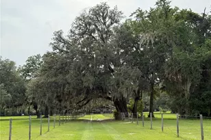 1360 S State Rd 19, Palatka, FL 32177 - Photo 33