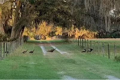 1360 S State Road 19, Palatka, FL 32177 - Photo 1