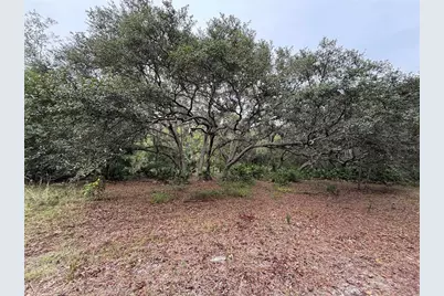 1360 S State Road 19, Palatka, FL 32177 - Photo 51