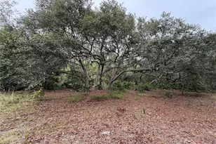 1360 S State Rd 19, Palatka, FL 32177 - Photo 51