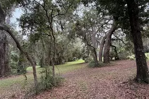 1360 S State Rd 19, Palatka, FL 32177 - Photo 39