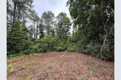 1360 S State Road 19, Palatka, FL 32177 - Photo 55