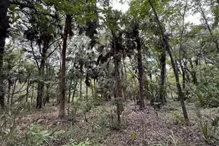 1360 S State Rd 19, Palatka, FL 32177 - Photo 45