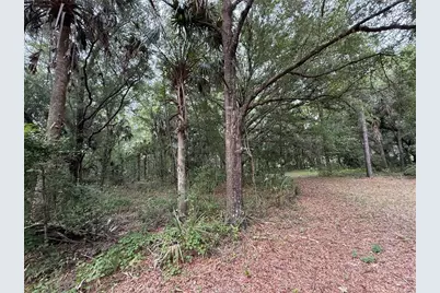 1360 S State Road 19, Palatka, FL 32177 - Photo 47