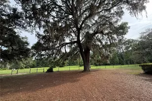 1360 S State Rd 19, Palatka, FL 32177 - Photo 7