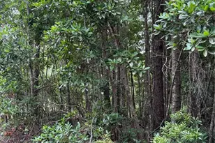 1360 S State Rd 19, Palatka, FL 32177 - Photo 53