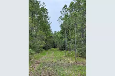 1360 S State Road 19, Palatka, FL 32177 - Photo 57