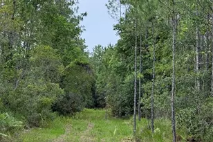 1360 S State Rd 19, Palatka, FL 32177 - Photo 57