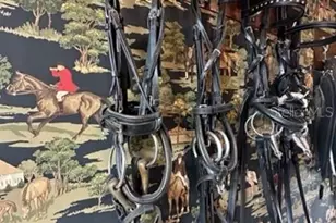 15200 Rawls Rd, Sarasota, FL 34240 - Photo 41