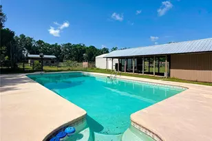 3040 NE 97th Street Rd, Anthony, FL 32617 - Photo 35