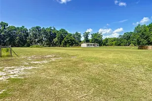 3040 NE 97th Street Rd, Anthony, FL 32617 - Photo 51