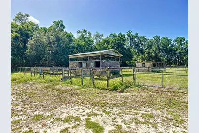 3040 NE 97th Street Road, Anthony, FL 32617 - Photo 51