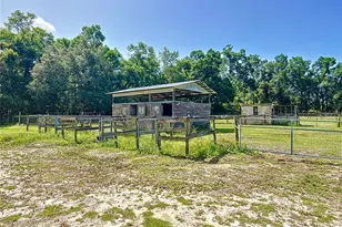 3040 NE 97th Street Rd, Anthony, FL 32617 - Photo 51