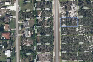 415 Hallmark Ave, Lake Placid, FL 33852 - Photo 5