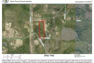 NE 210th St Rd, Fort Mc Coy, FL 32134 - Photo 1