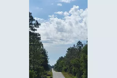 Sw Edgewater, Dunnellon, FL 34431 - Photo 13