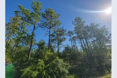 Sw Edgewater, Dunnellon, FL 34431 - Photo 5