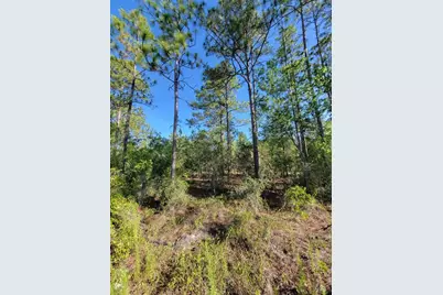Sw Edgewater, Dunnellon, FL 34431 - Photo 3