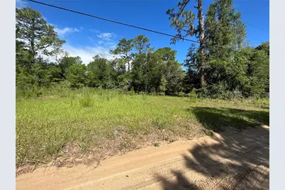 620 S Fairlane Terrace, Lecanto, FL 34461 - Photo 11