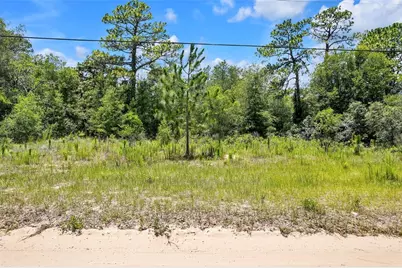 620 S Fairlane Terrace, Lecanto, FL 34461 - Photo 1