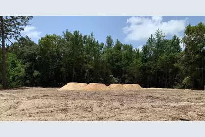 1782 W Mesa Verde Drive, Beverly Hills, FL 34465 - Photo 3