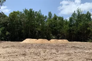 1782 W Mesa Verde Dr, Beverly Hills, FL 34465 - Photo 3