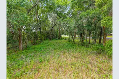 Tbd S Highway 301, Summerfield, FL 34491 - Photo 9