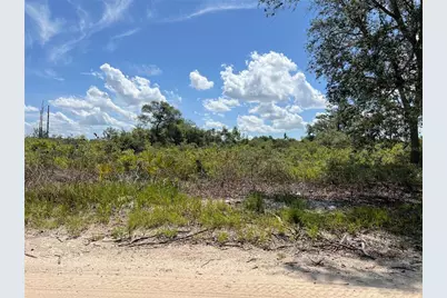 0 SW 157 Lane, Dunnellon, FL 34432 - Photo 1