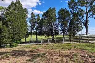 4501 Detour Rd, Haines City, FL 33844 - Photo 45