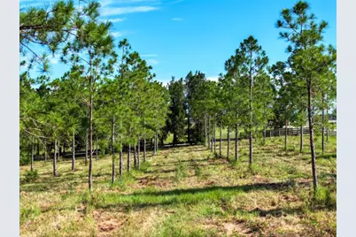 4501 Detour Road, Haines City, FL 33844 - Photo 51