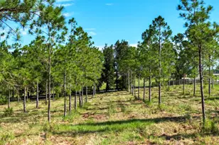 4501 Detour Rd, Haines City, FL 33844 - Photo 51