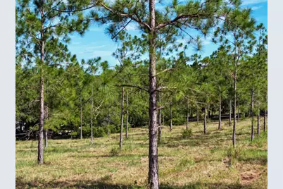 4501 Detour Road, Haines City, FL 33844 - Photo 55