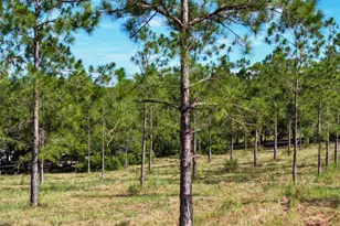 4501 Detour Rd, Haines City, FL 33844 - Photo 55