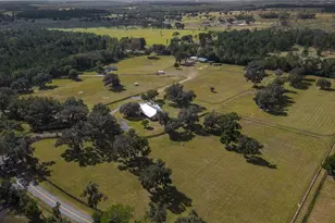 6140 NW 145th Avenue Rd, Morriston, FL 32668 - Photo 55