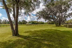 6140 NW 145th Avenue Rd, Morriston, FL 32668 - Photo 33