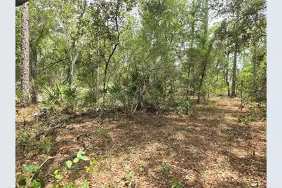 6468 N Baylor Terrace, Dunnellon, FL 34433 - Photo 7