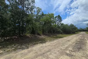 6468 N Baylor Terrace, Dunnellon, FL 34433 - Photo 1