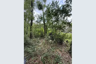 4117 Silver Lake Drive, Palatka, FL 32177 - Photo 5