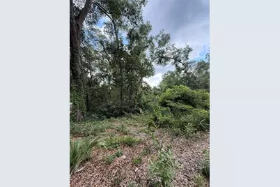 4117 Silver Lake Drive, Palatka, FL 32177 - Photo 3