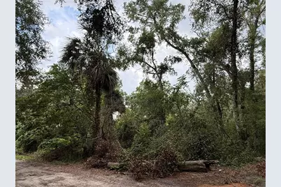 4117 Silver Lake Drive, Palatka, FL 32177 - Photo 11