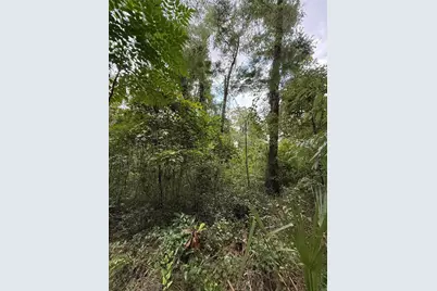 4117 Silver Lake Drive, Palatka, FL 32177 - Photo 9