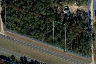 Lot 9 NE US Hwy 27A, Williston, FL 32696 - Photo 1