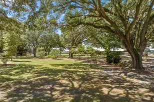 4750 SE 216 Ave, Morriston, FL 32668 - Photo 35