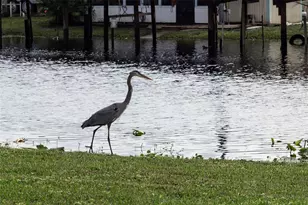 25836 Manhattan Ln, Astor, FL 32102 - Photo 63