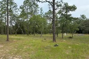 2060 E Mary Lue St, Inverness, FL 34453 - Photo 3