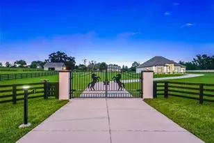 7041 NE 22nd Ct Rd, Ocala, FL 34479 - Photo 5